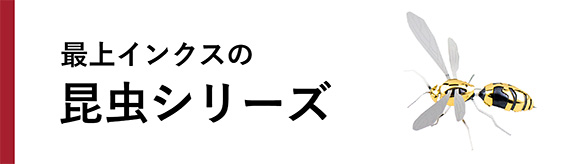 最上インクスの昆虫シリーズ